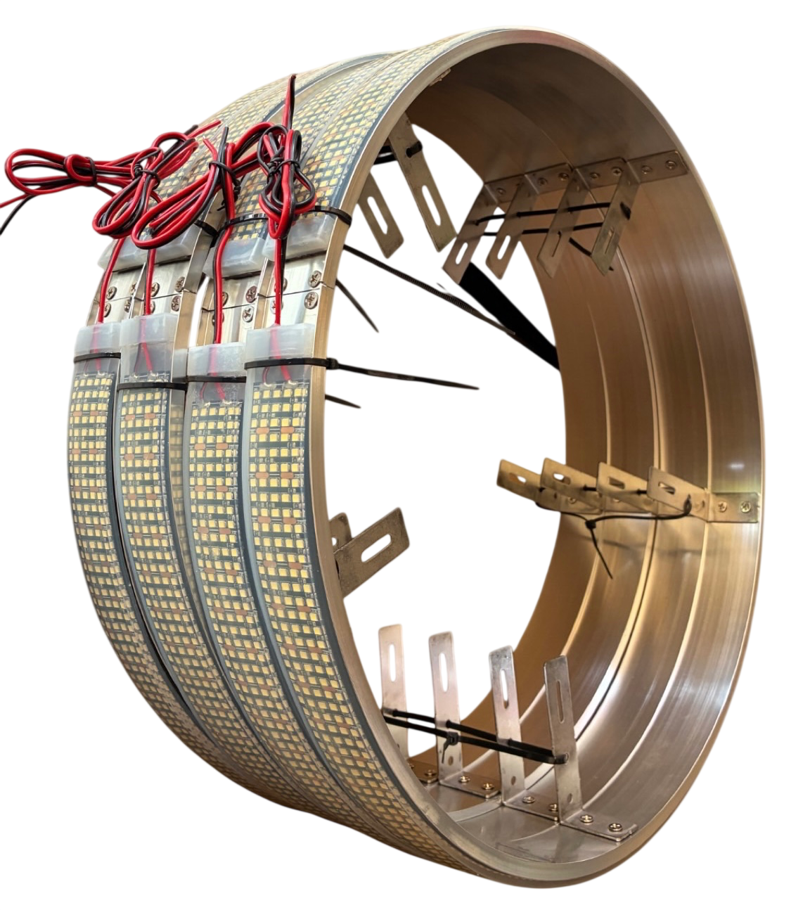 Wheel Lights